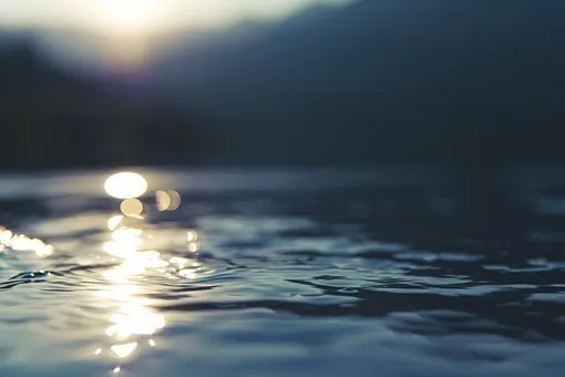 Впервые за 18 лет проведена масштабная траловая съемка на озере Ильмень